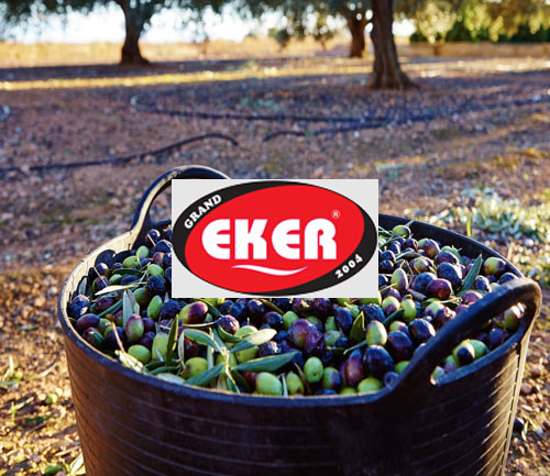 EKER GIDA